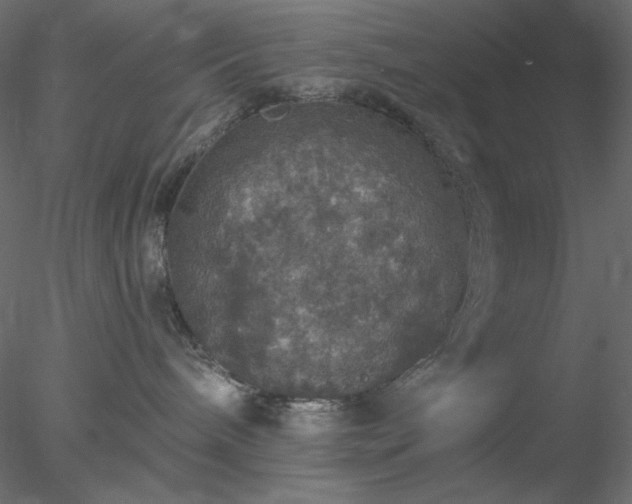 X0000078030240200611031546