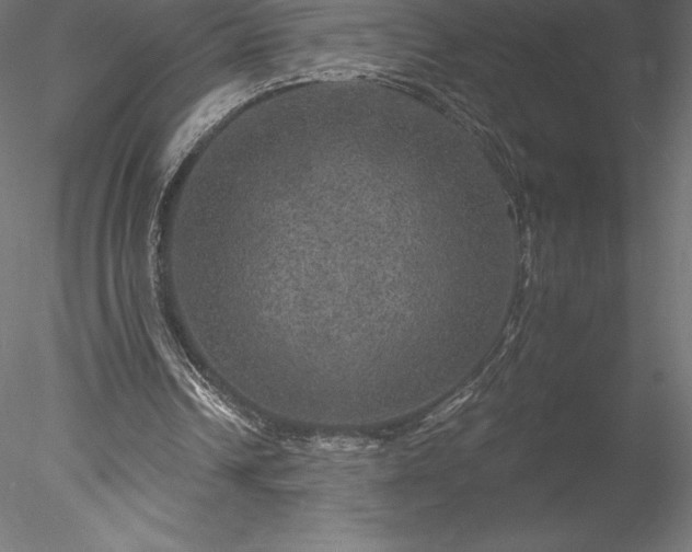 X0000078030242200611031545