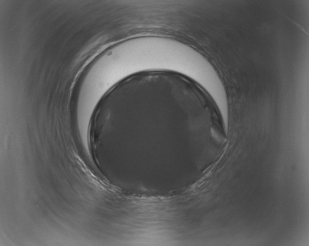 X0000078030243200611031545