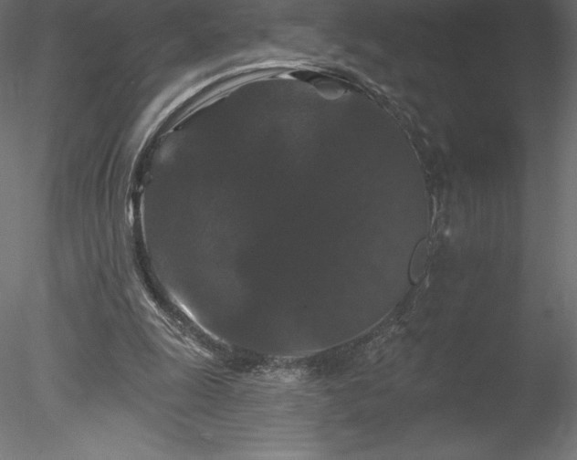 X0000078030247200611031545