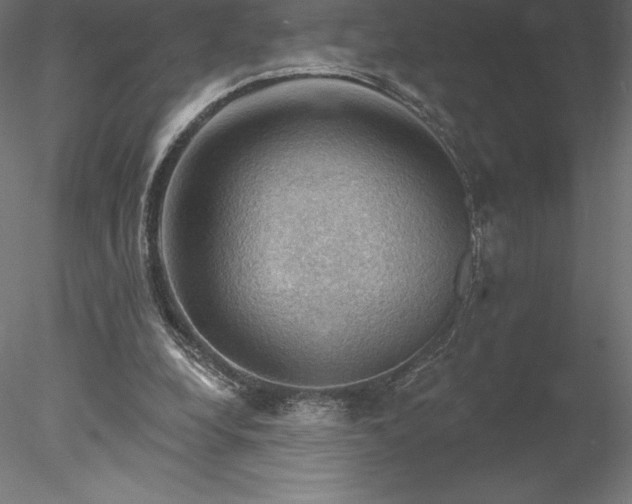 X0000078030248200611031545