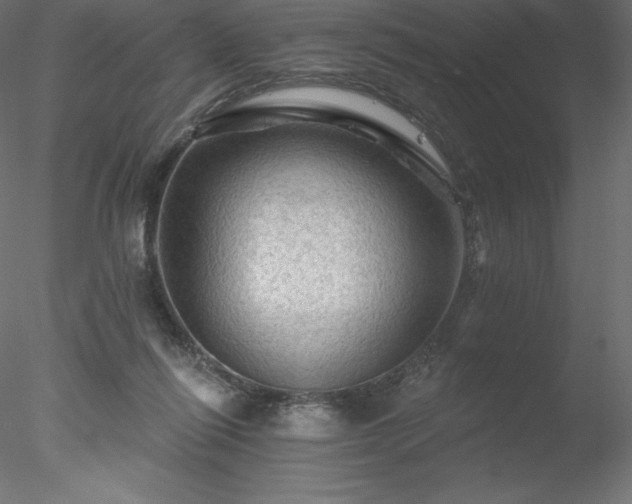 X0000078030262200611031545