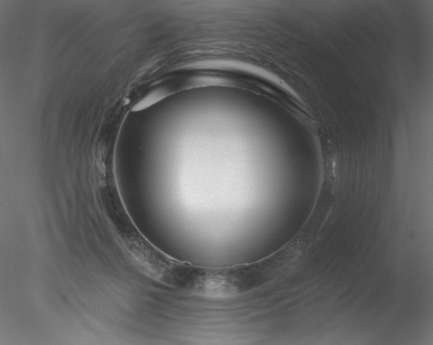 X0000078030264200611031545