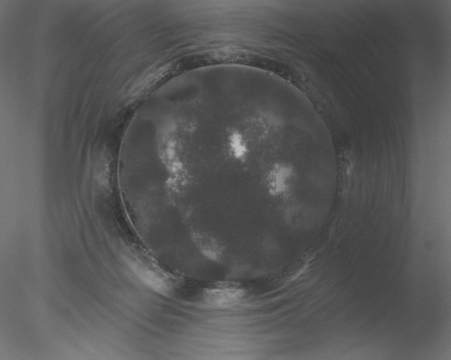 X0000078030266200611031545