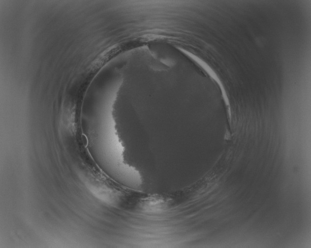 X0000078030267200611031545