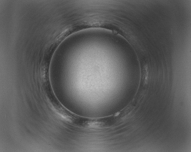 X0000078030268200611031545