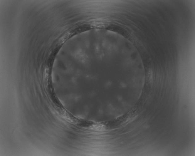 X0000078030271200611031545