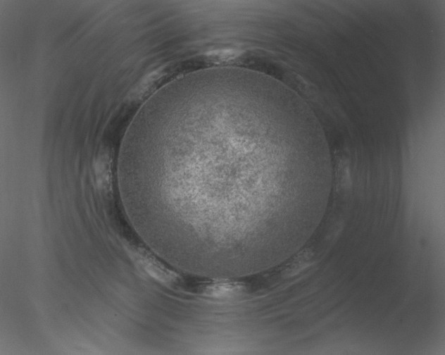X0000078030274200611031545