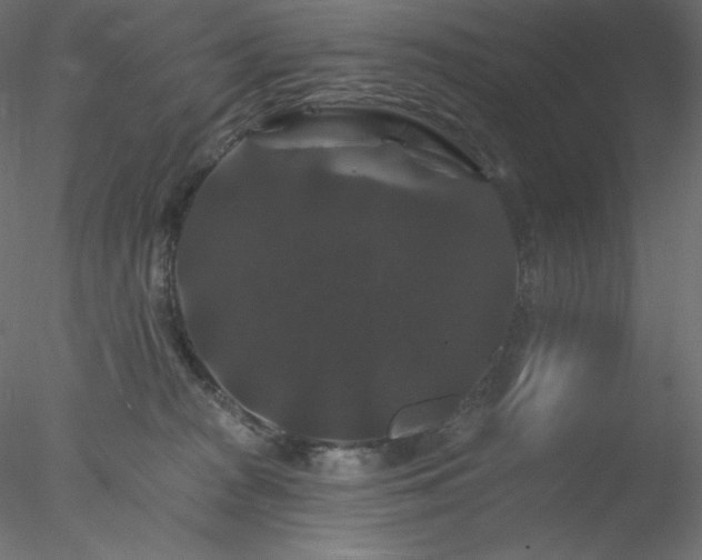 X0000078030277200611031545