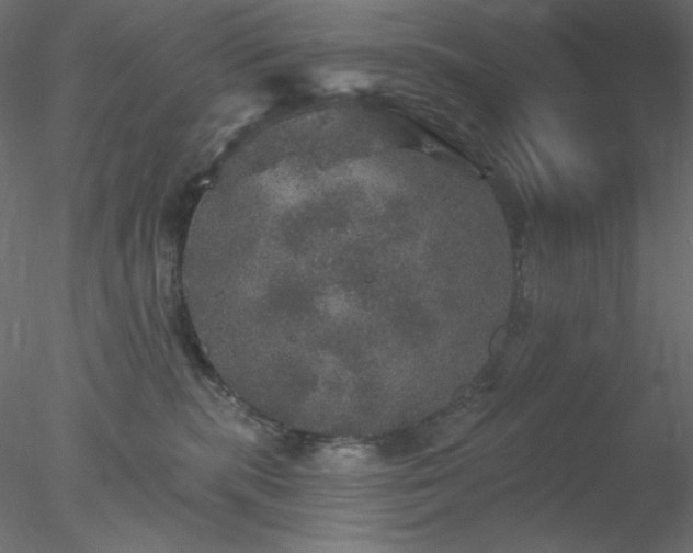 X0000078030283200611031545
