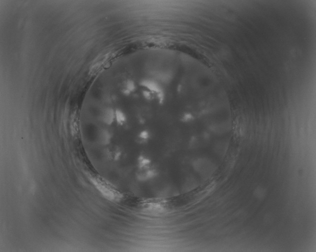 X0000078030285200611031545