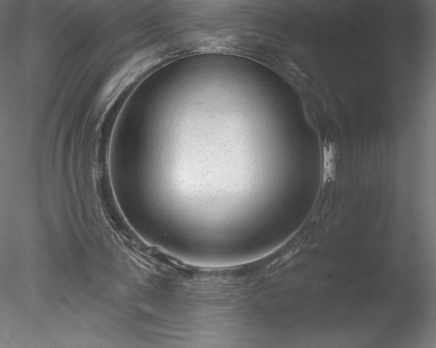 X0000078030291200611031545