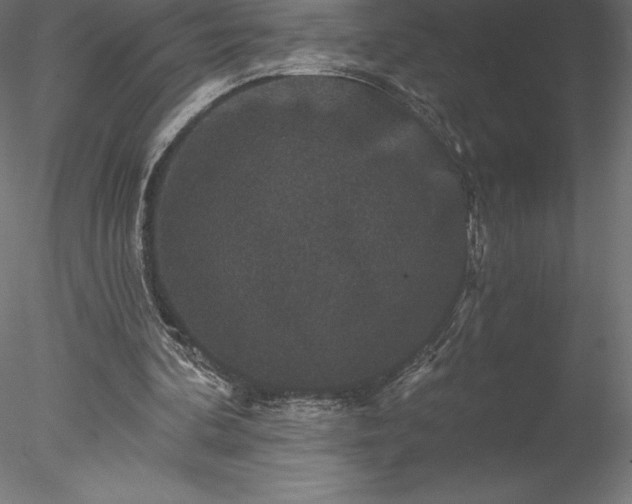 X0000078030292200611031545