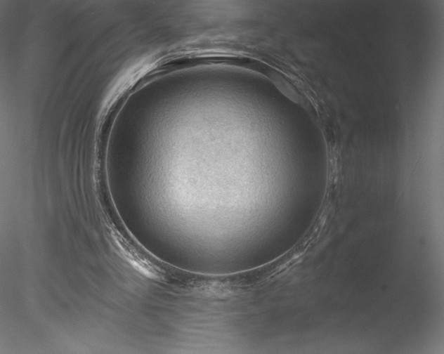 X0000078030293200611031545