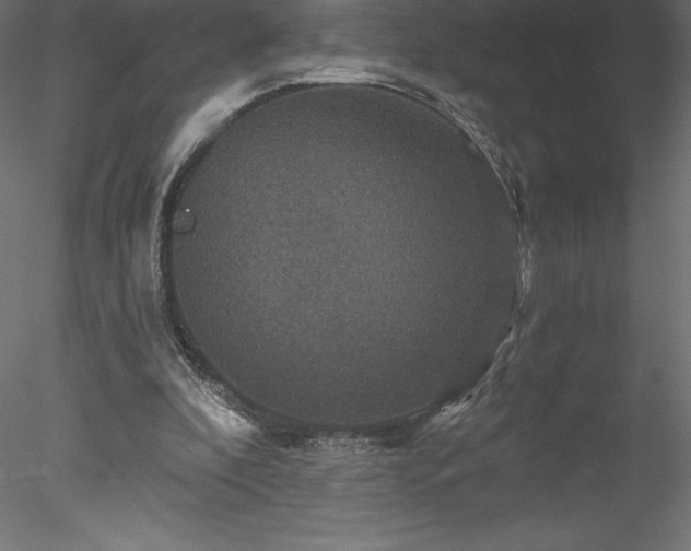 X0000078030296200611031545