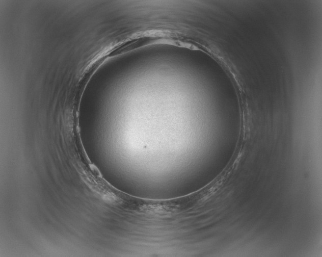 X0000078030297200611031545