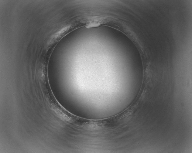 X0000078030305200611031544