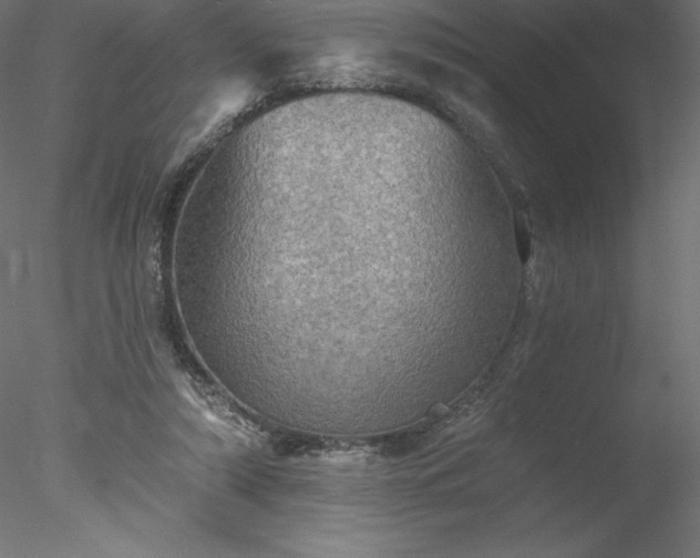 X0000078030306200611031544