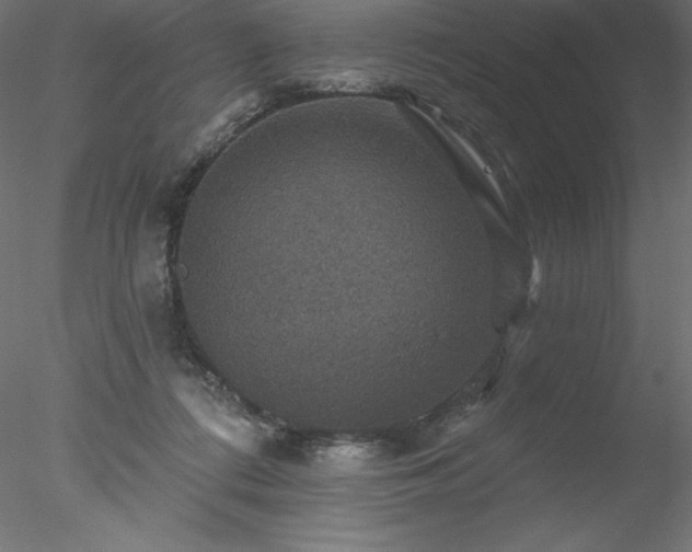 X0000078030312200611031544