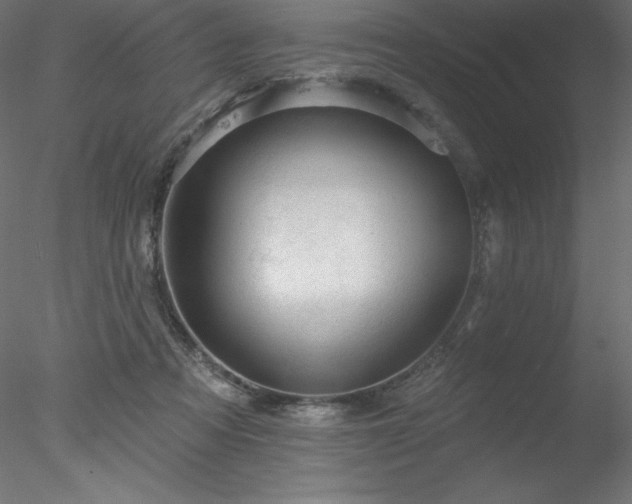 X0000078030313200611031544