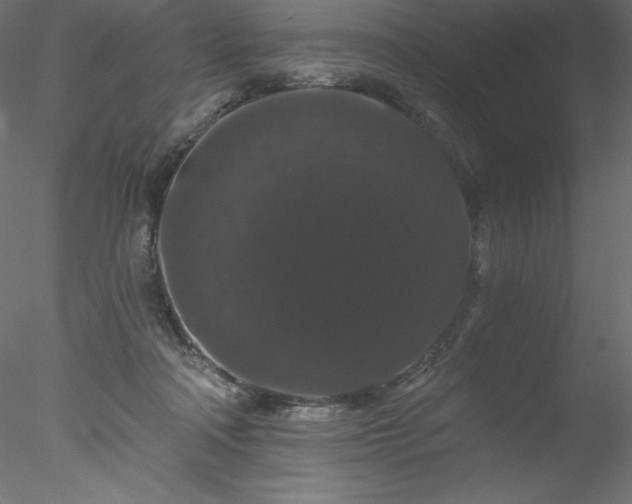X0000078030314200611031544