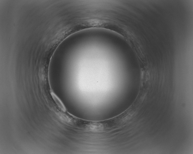 X0000078030317200611031544