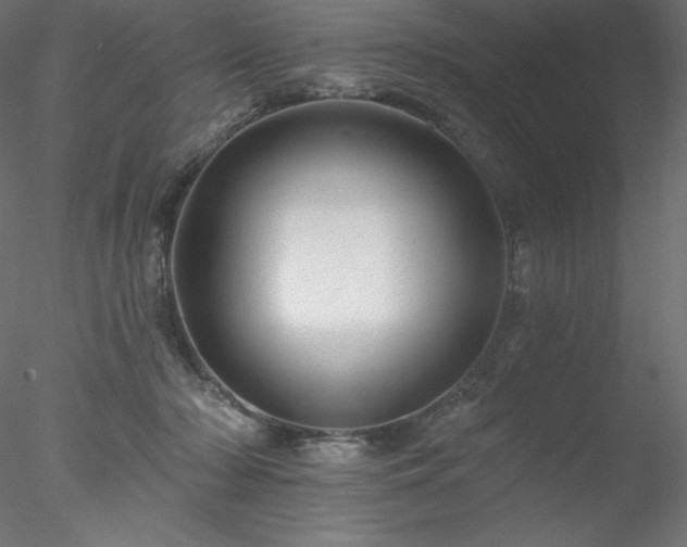 X0000078030318200611031544