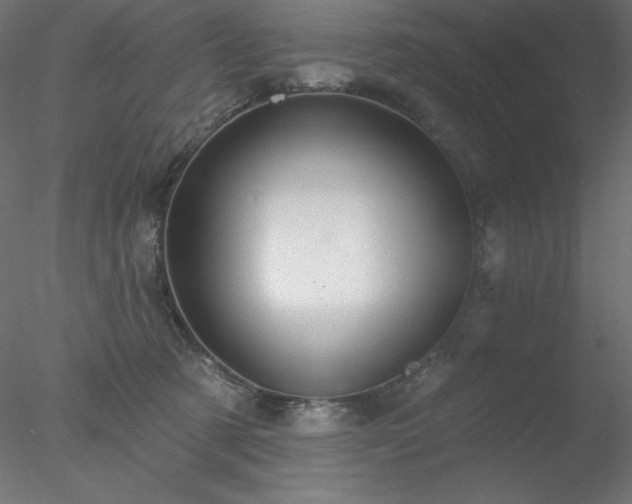 X0000078030321200611031544