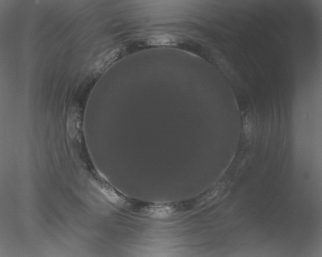 X0000078030322200611031544