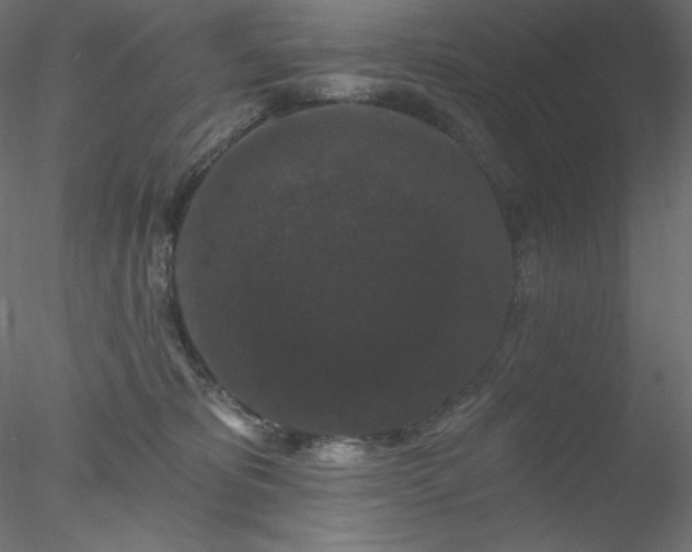 X0000078030325200611031544