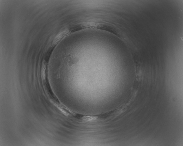 X0000078030334200611031544