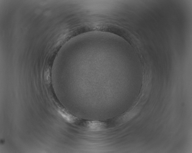 X0000078030336200611031544