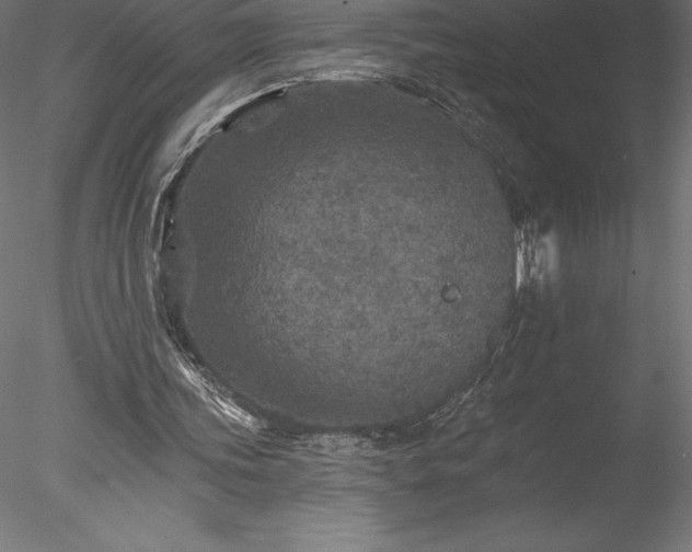X0000078030339200611031543