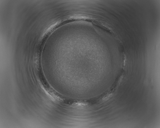 X0000078030352200611031543