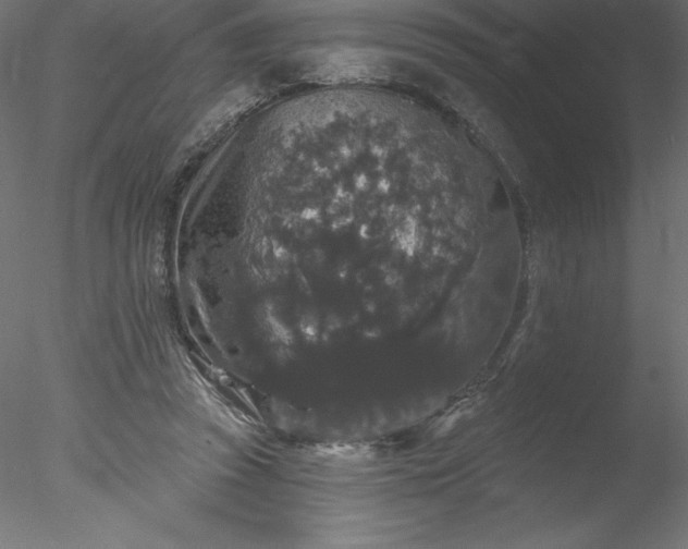 X0000078030353200611031543
