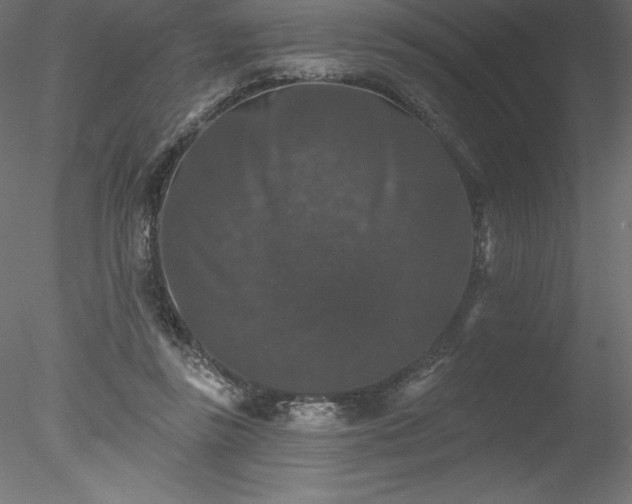 X0000078030355200611031543