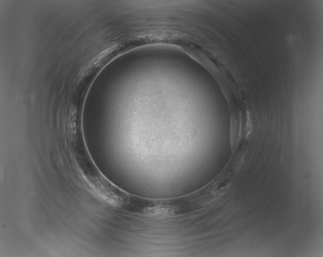 X0000078030356200611031543