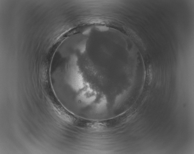 X0000078030359200611031543