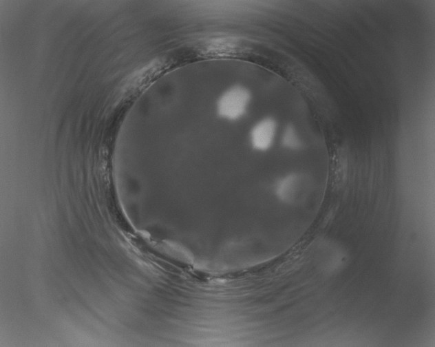 X0000078030361200611031544