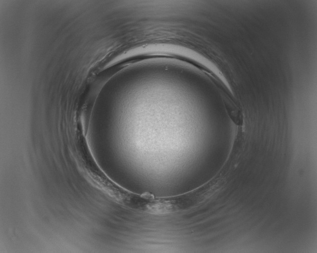 X0000078030362200611031544