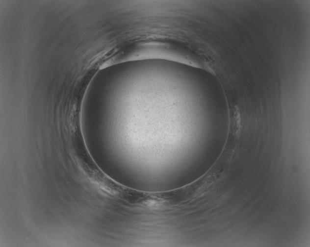 X0000078030364200611031544