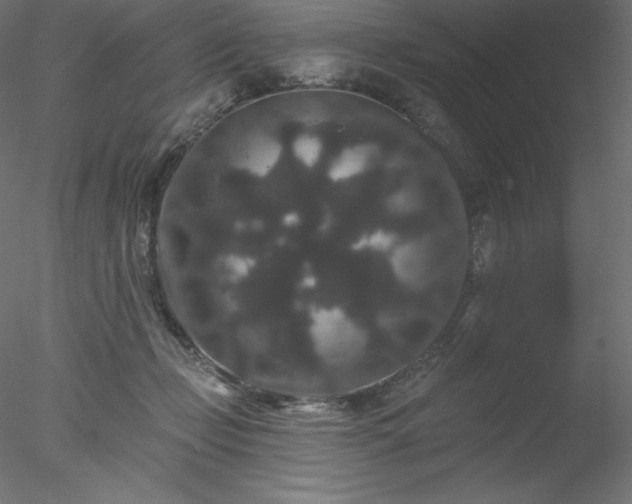 X0000078030365200611031544