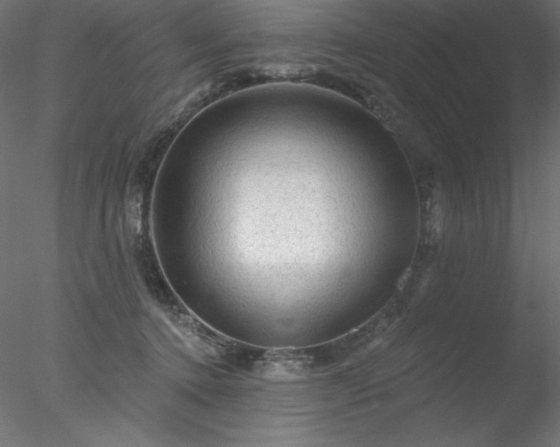 X0000078030368200611031544