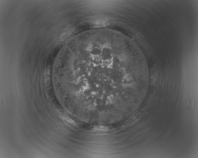 X0000078030369200611031544