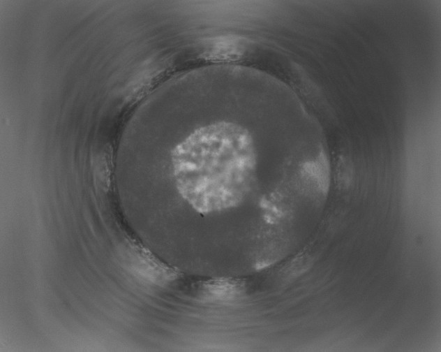 X0000078030370200611031544