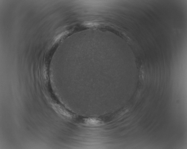X0000078030380200611031544