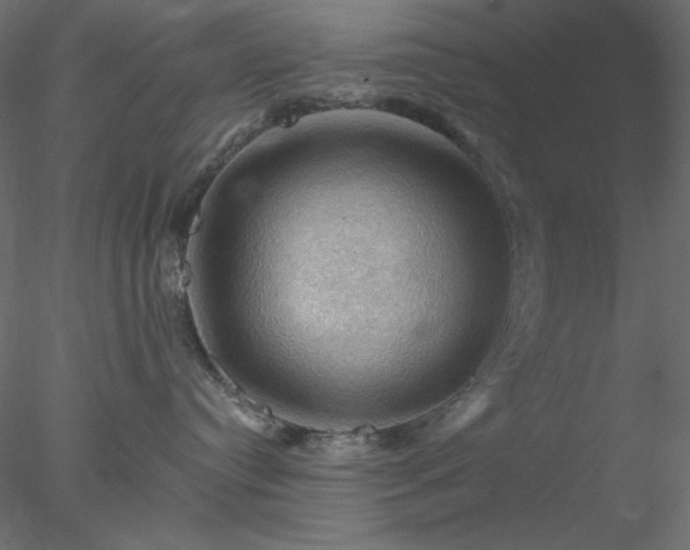 X0000078030384200611031544