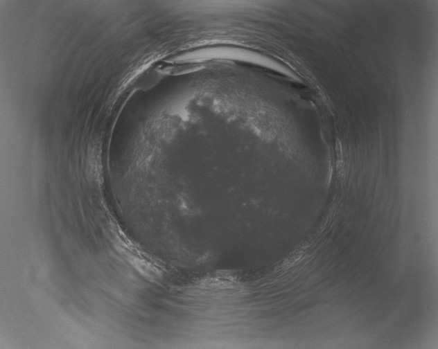 X0000078030386200611031543