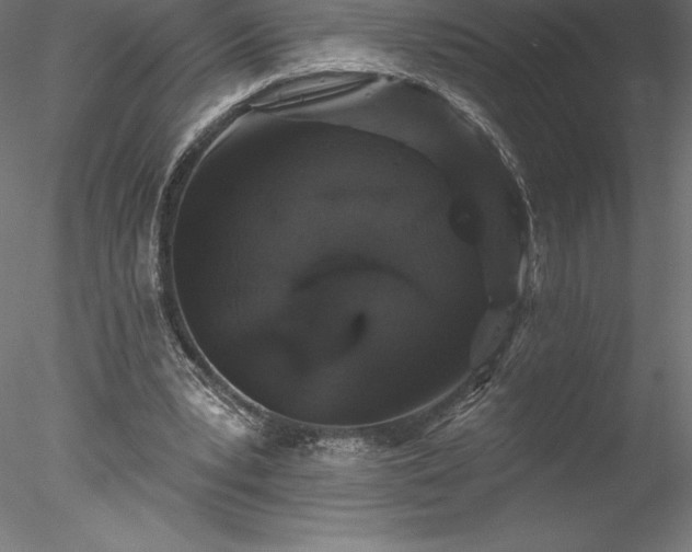 X0000078030391200611031543