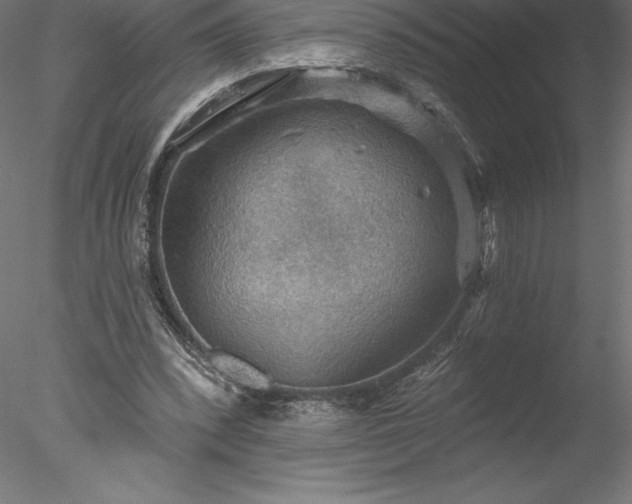 X0000078030392200611031543